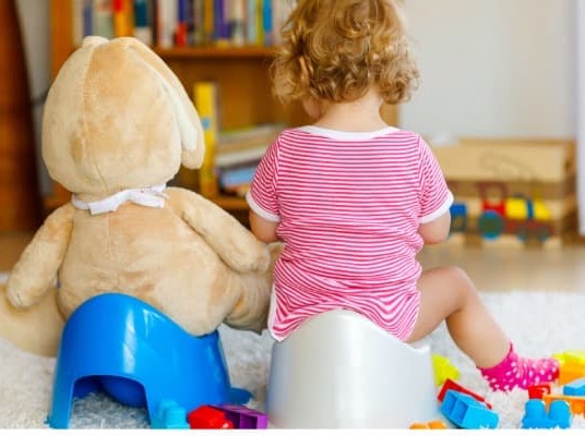 Tips for Potty Training Success